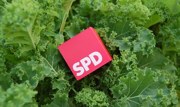 Grunkohlessen 2019 In Tarp Mit Birte Pauls Spd Tarp